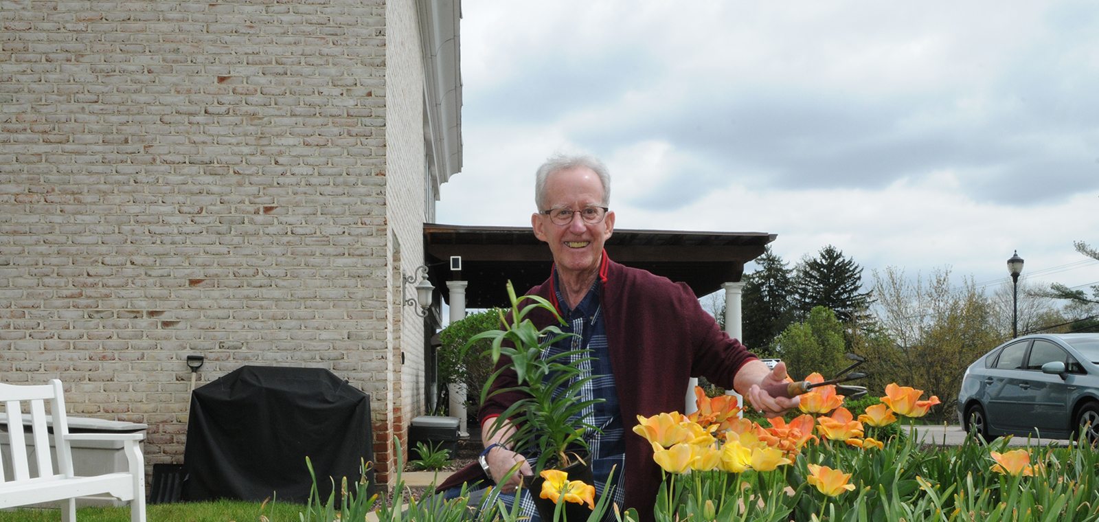 Elderly man tending to vibrant flowers in a garden.