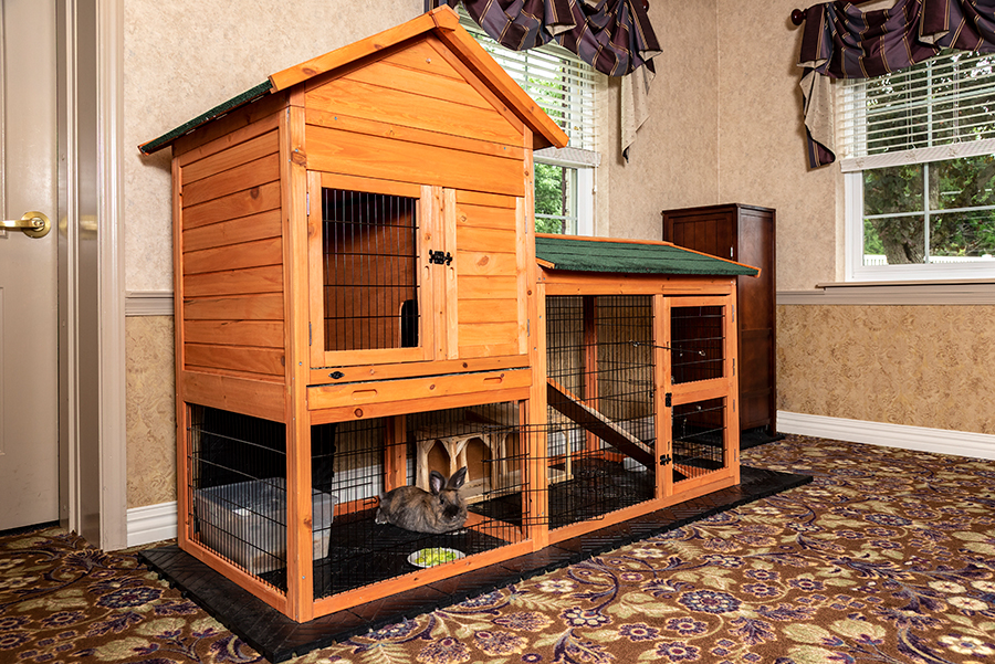 Wooden rabbit cage in a room with patterned carpet.