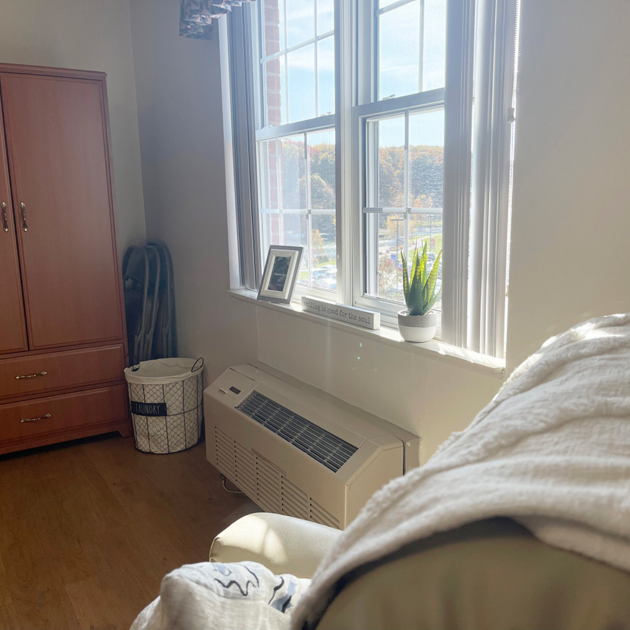 Bright room with windows, plants, and cozy furnishings.