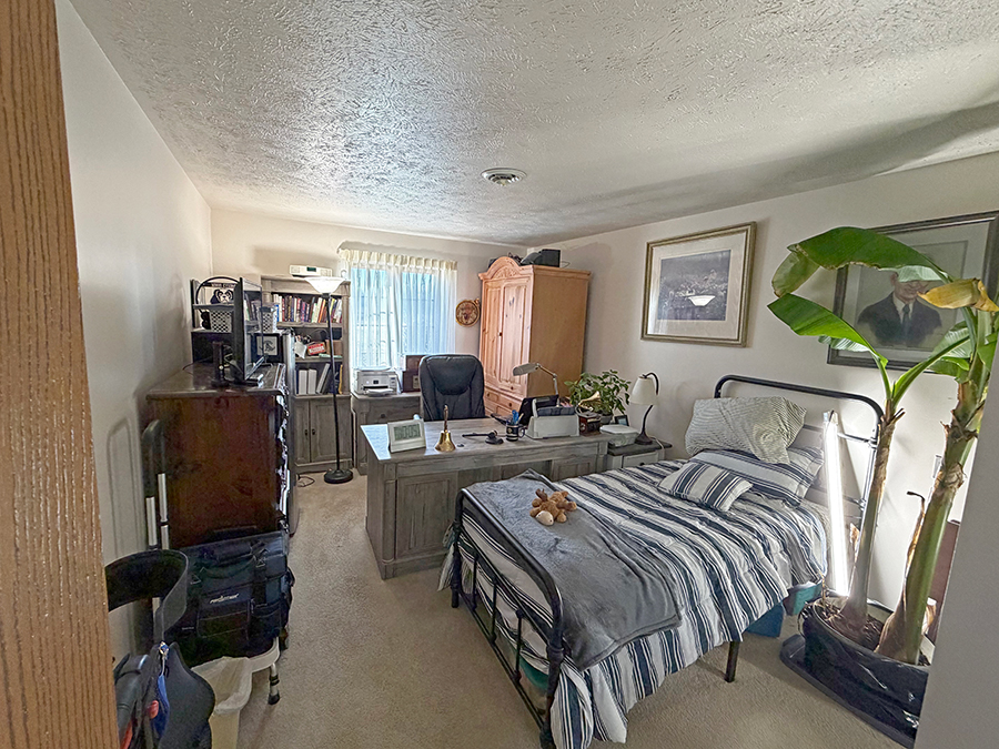 Cozy room with desk, bed, and houseplants.