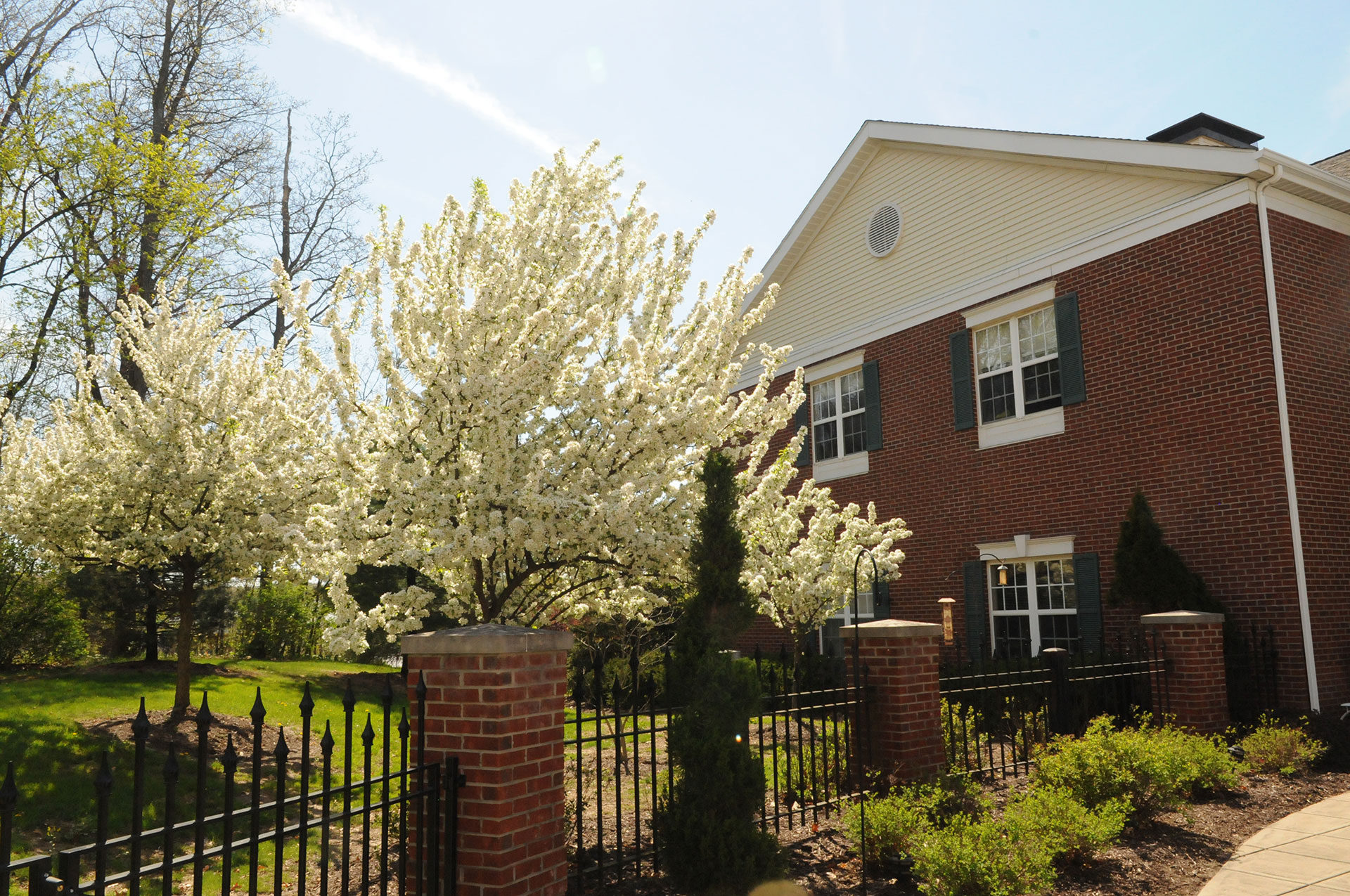 Blooming trees near a brick house in a sunny setting.