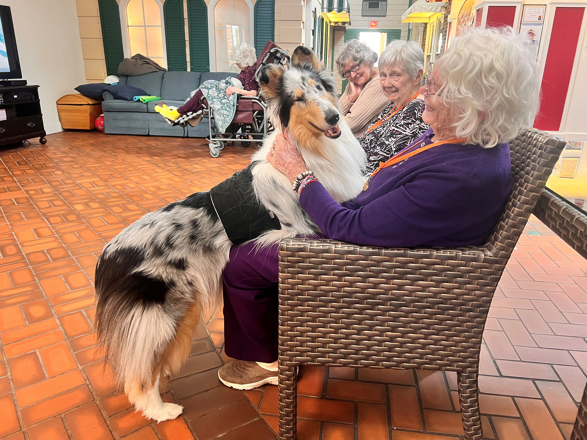Dog interacts affectionately with elderly women in a care facility.