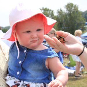 Concordia Butterfly Releases Provide Comfort and Remembrance  