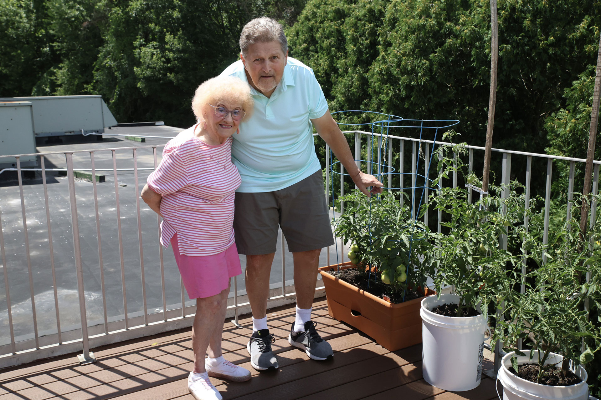 Elderly couple enjoying gardening on a sunny balcony.