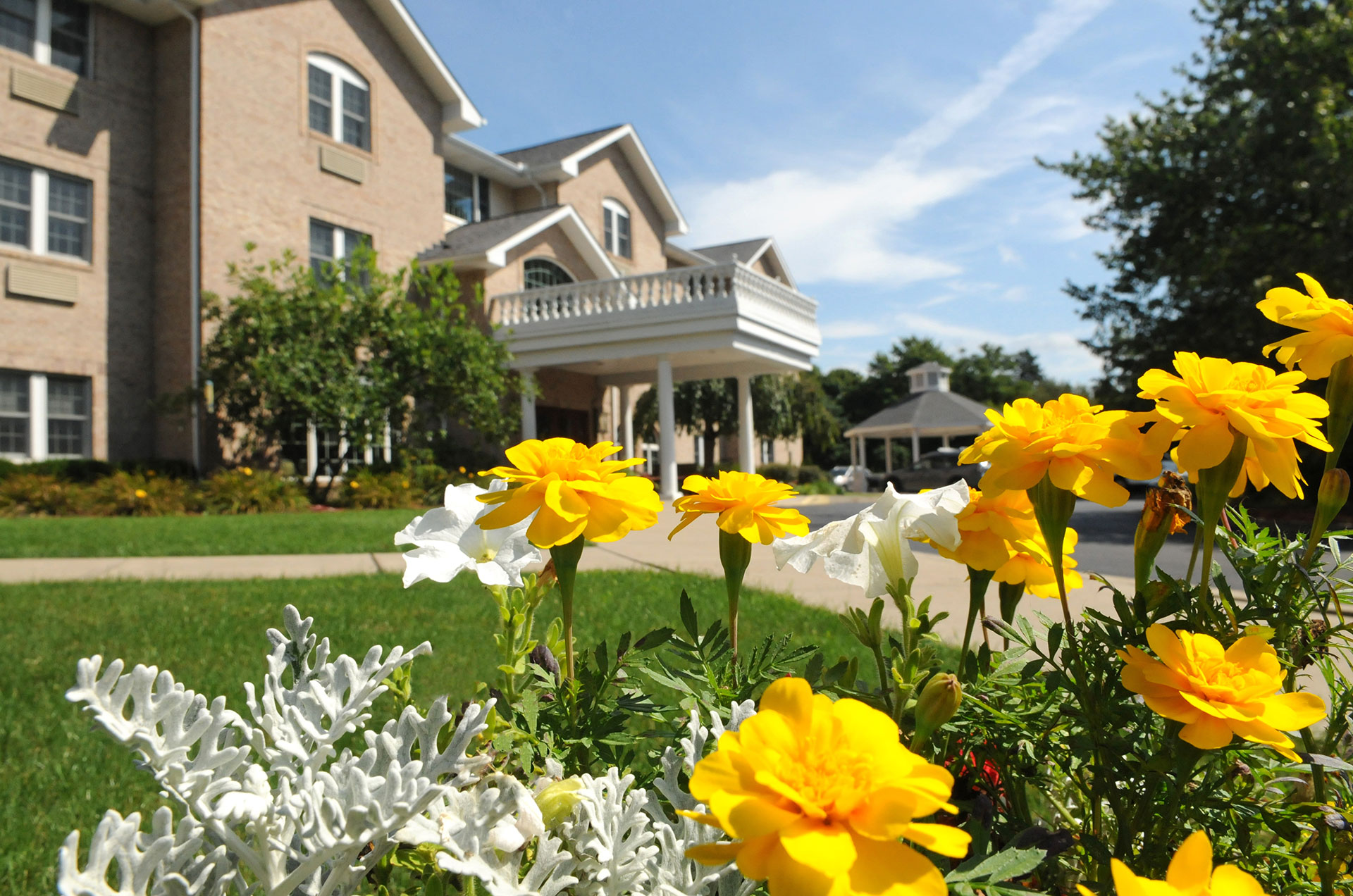 Flowers in front of a building under a clear blue sky.