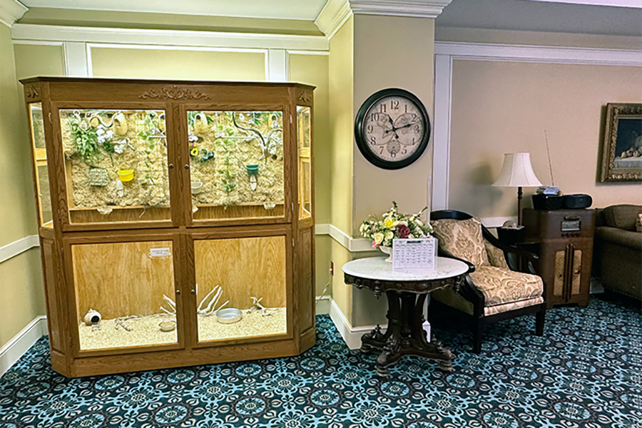 Cozy room with a decorative cabinet and seating area.