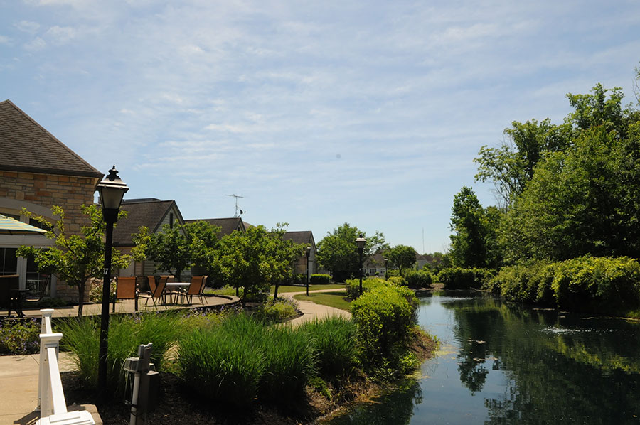 Lush greenery beside a calm, reflective waterway.