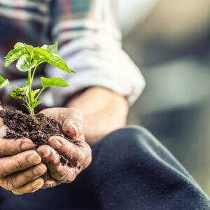 From Friendship to Legacy: The Future You Can Shape