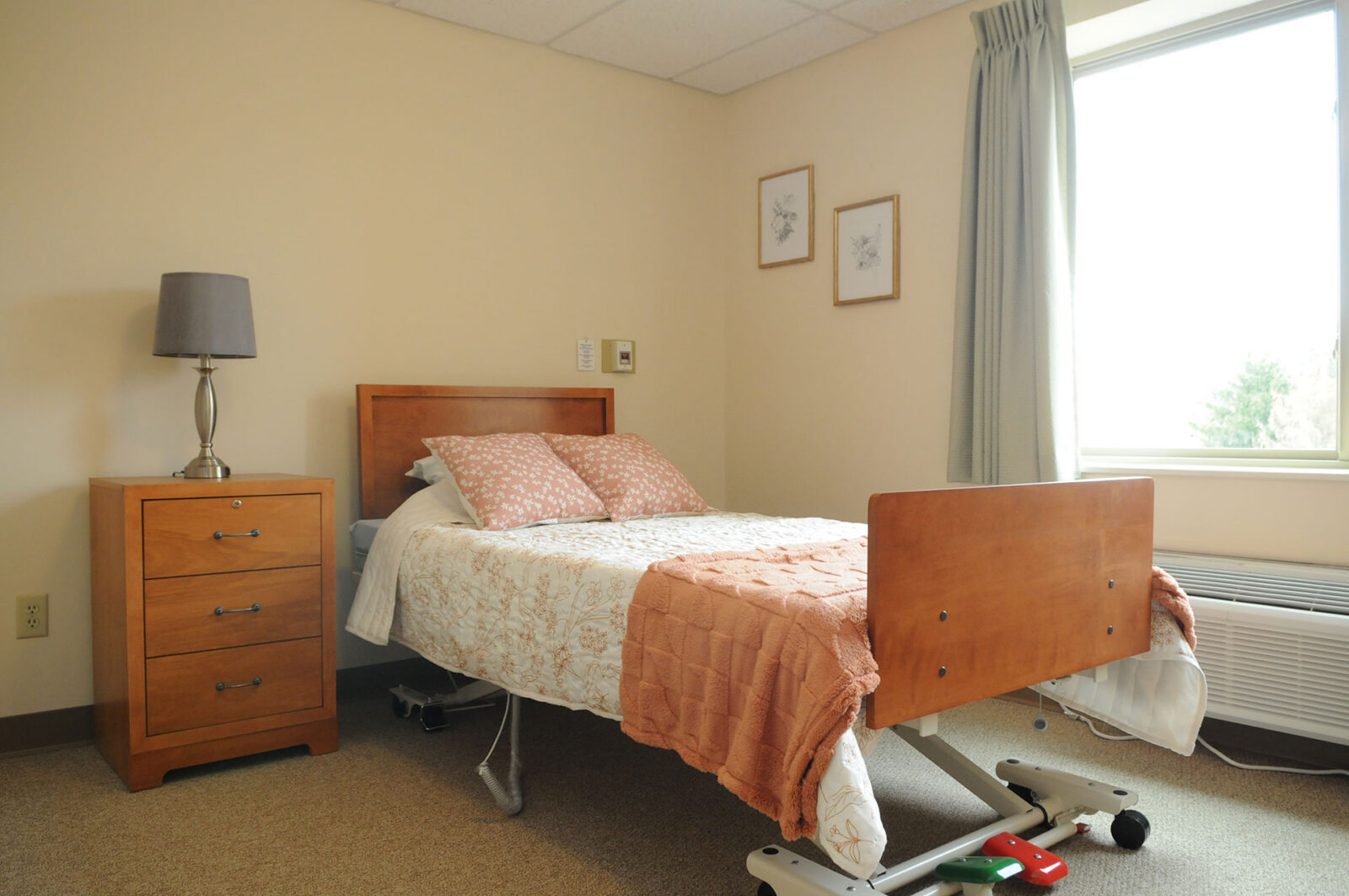 Cozy bedroom with a hospital-style adjustable bed.
