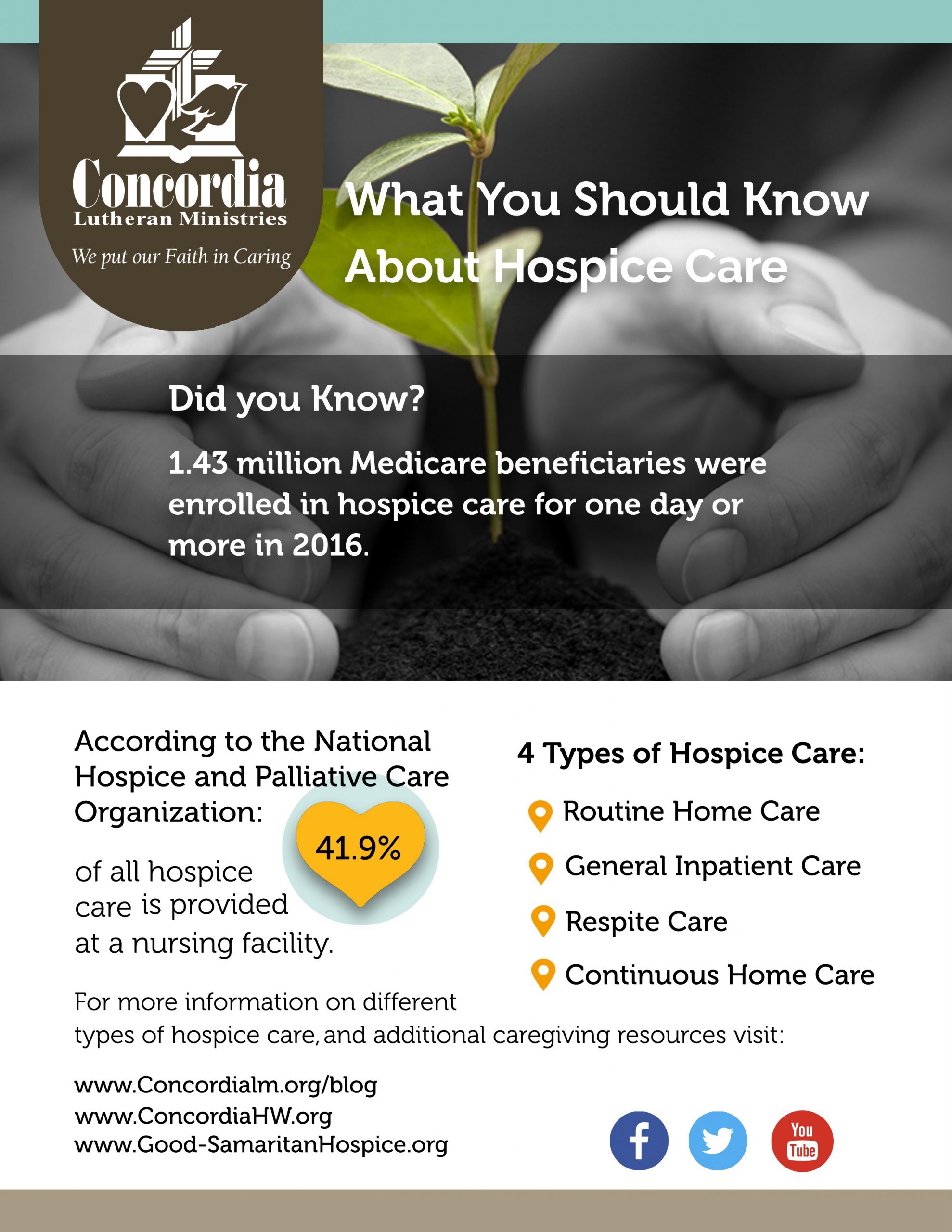 infographic-examples-in-hospice